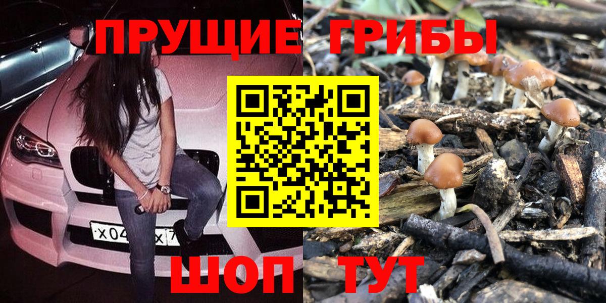 Псилоцибиновые грибы ЛСД Заречный