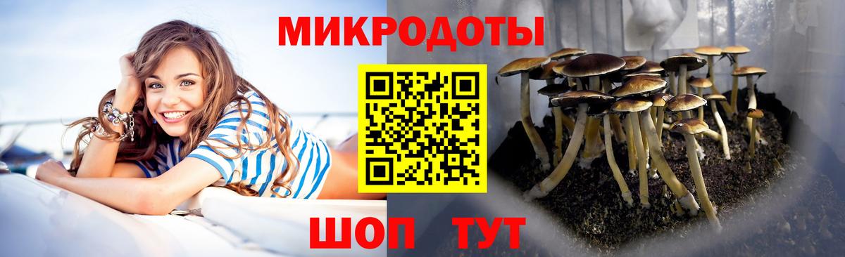 Галлюциногенные грибы мицелий  Вход с VPN  купить закладку  Заречный  Галлюциногенные грибы MAGIC MUSHROOMS 
